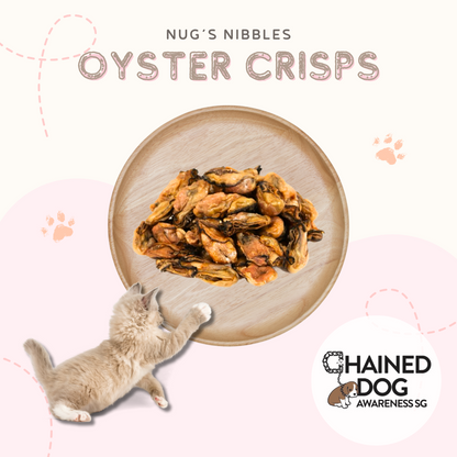 Air Dried Oyster Crisps (CDAS)