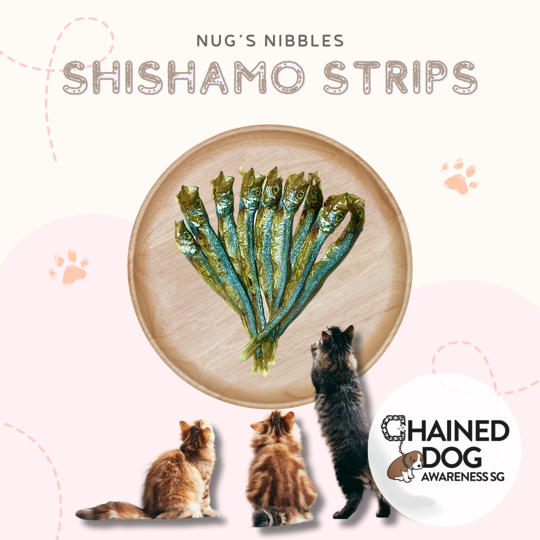 Air Dried Shishamo Strips (CDAS)