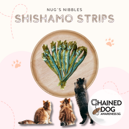 Air Dried Shishamo Strips (CDAS)