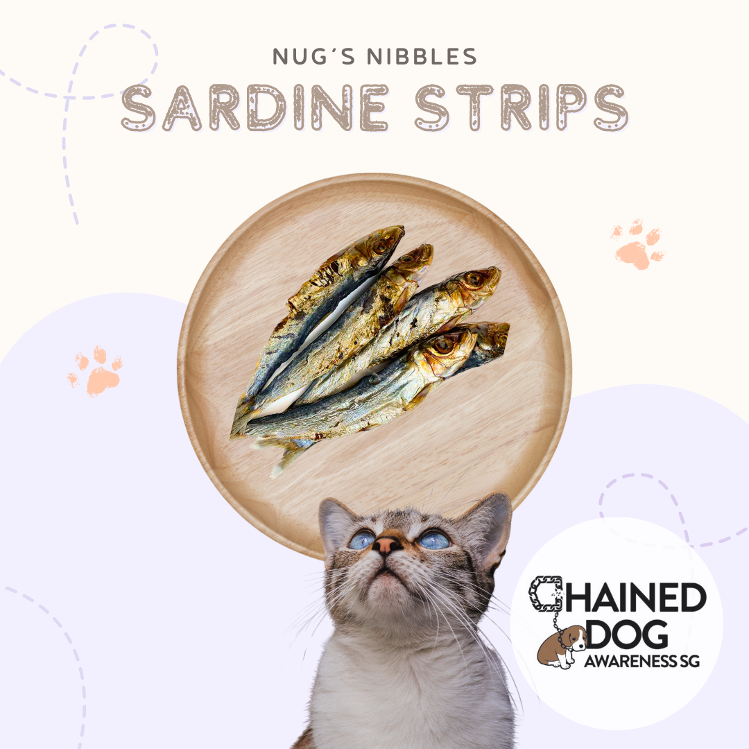 Air Dried Sardine Strips (CDAS)