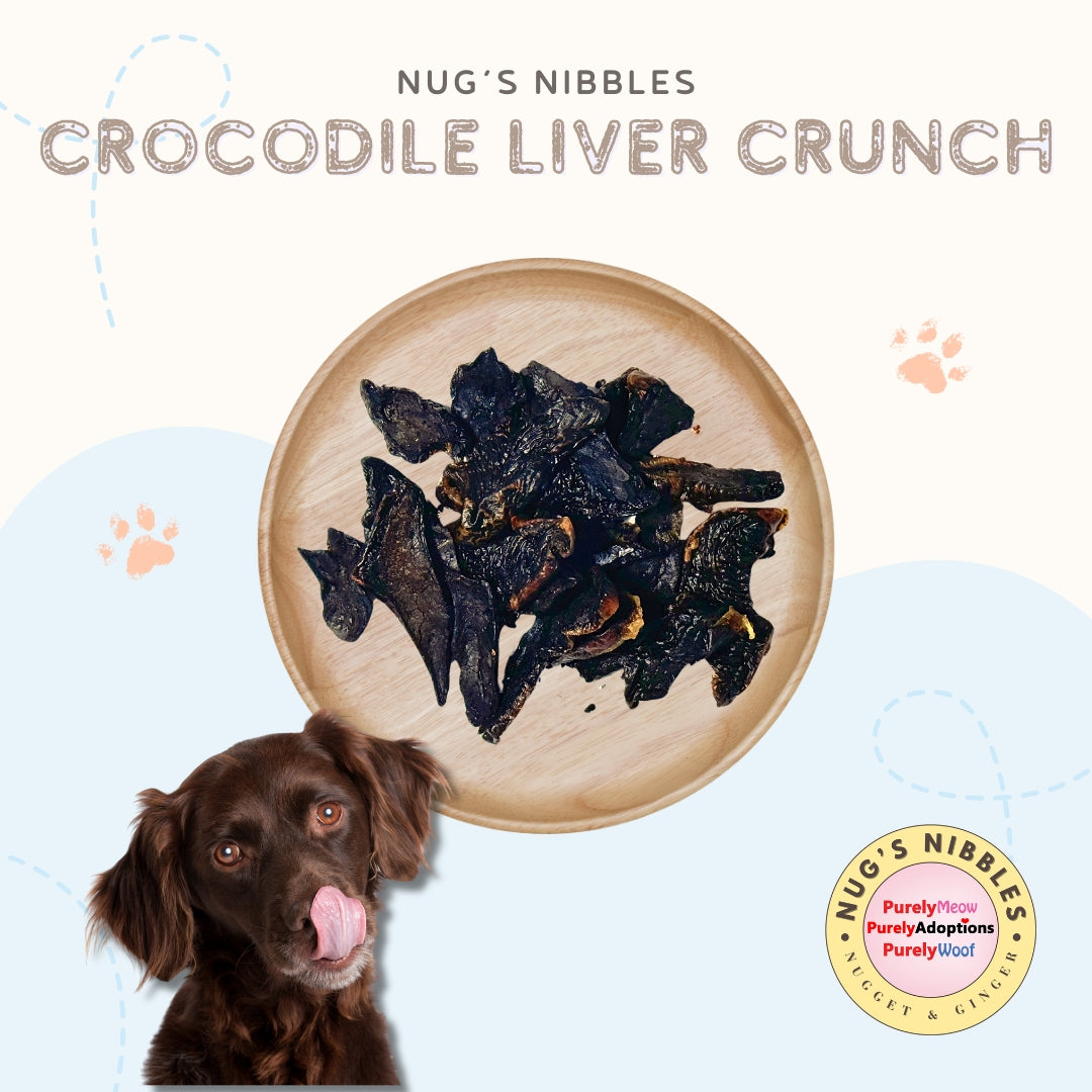 Air Dried Crocodile Liver Crunch (PA)