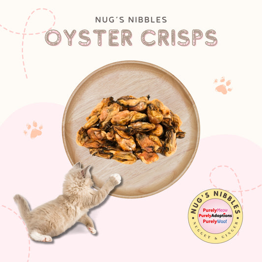 Air Dried Oyster Crisps (PA)