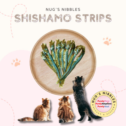 Air Dried Shishamo Strips (PA)