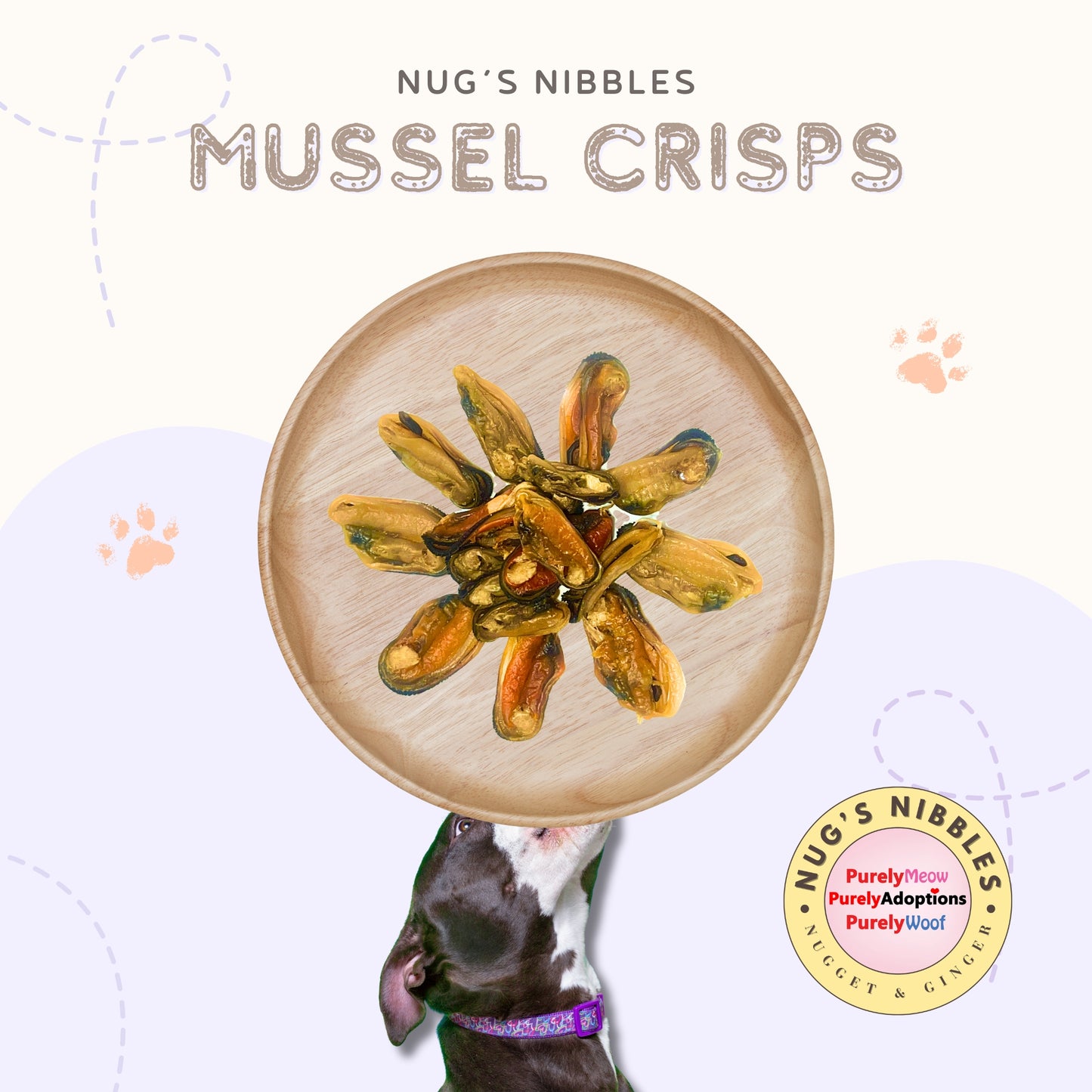 Air Dried Mussel Crisps (PA)