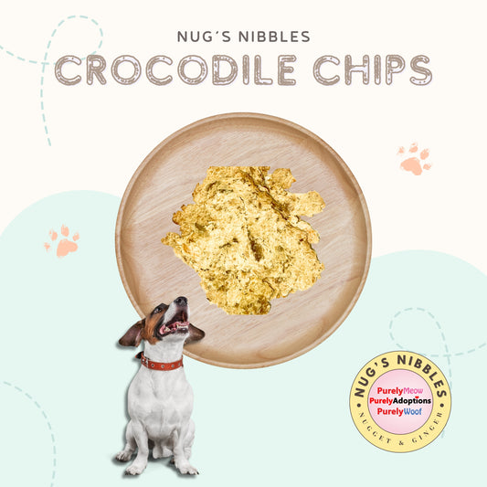 Air Dried Crocodile Chips (PA)